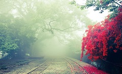 长沙雨花山柳建设有限公司